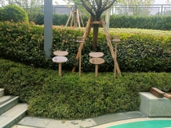 中海地产花草牌