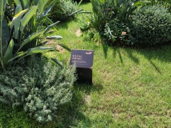 中海地产花草牌